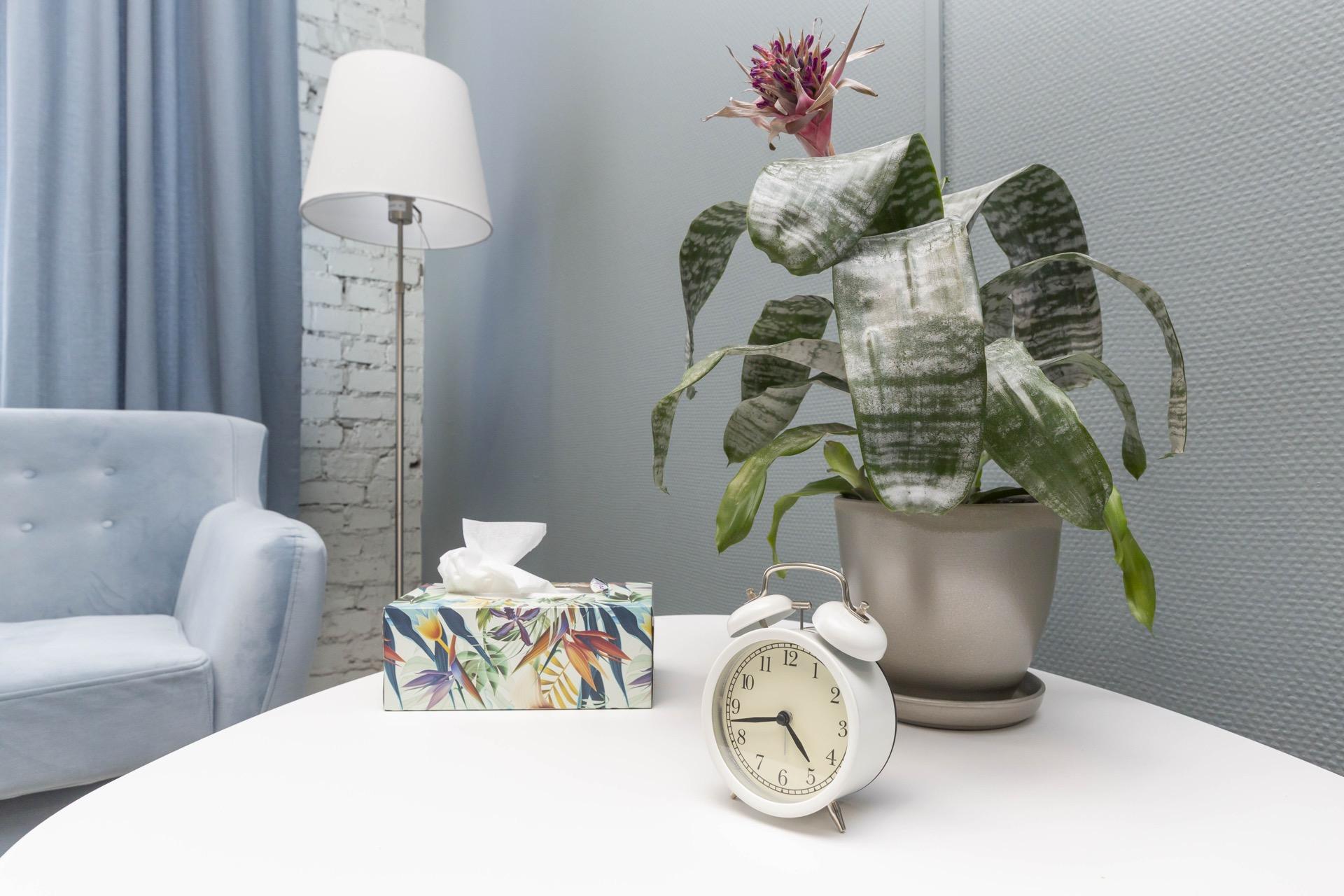 Голубой кабинет №15